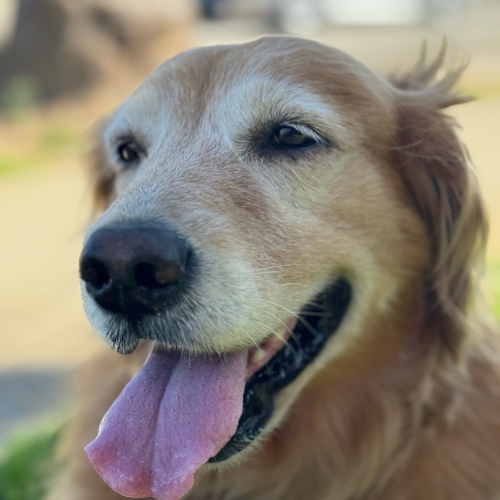 Meet your Posher, Mica